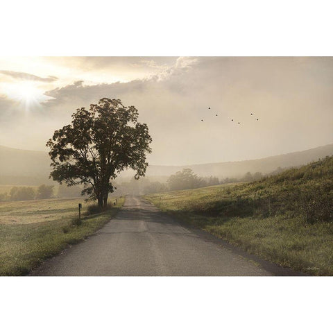 Foggy Country Road I Gold Ornate Wood Framed Art Print with Double Matting by Deiter, Lori