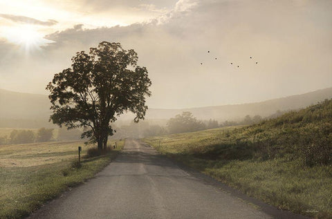 Foggy Country Road I White Modern Wood Framed Art Print with Double Matting by Deiter, Lori