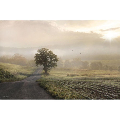 Foggy Country Road II Gold Ornate Wood Framed Art Print with Double Matting by Deiter, Lori