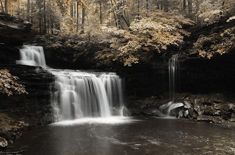 Golden Waterfall I White Modern Wood Framed Art Print with Double Matting by Deiter, Lori