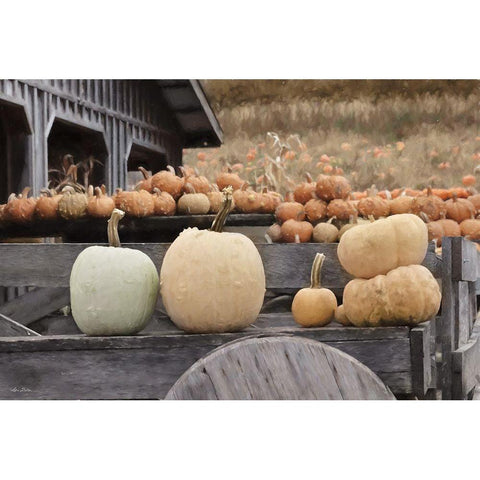 Autumn Pumpkin Harvest Black Modern Wood Framed Art Print with Double Matting by Deiter, Lori