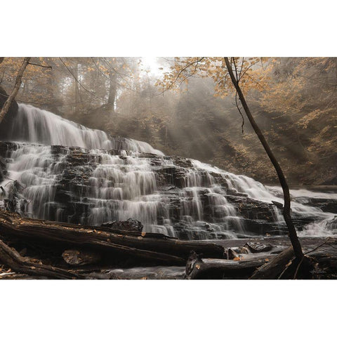 Mohawk Rays of Light Gold Ornate Wood Framed Art Print with Double Matting by Deiter, Lori