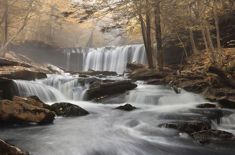 Golden Oneida Falls White Modern Wood Framed Art Print with Double Matting by Deiter, Lori