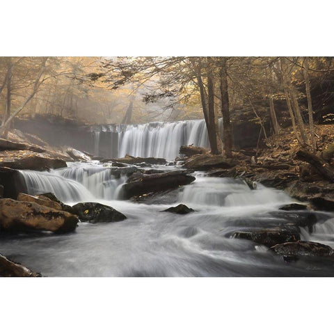 Golden Oneida Falls Black Modern Wood Framed Art Print with Double Matting by Deiter, Lori