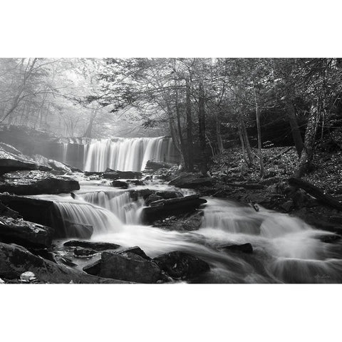 Oneida Falls White Modern Wood Framed Art Print by Deiter, Lori