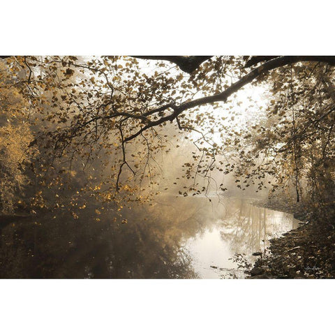 Morning Rays at Swatara Creek Black Modern Wood Framed Art Print with Double Matting by Deiter, Lori