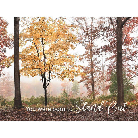 You Were Born to Stand Out White Modern Wood Framed Art Print by Deiter, Lori