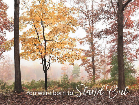 You Were Born to Stand Out White Modern Wood Framed Art Print with Double Matting by Deiter, Lori