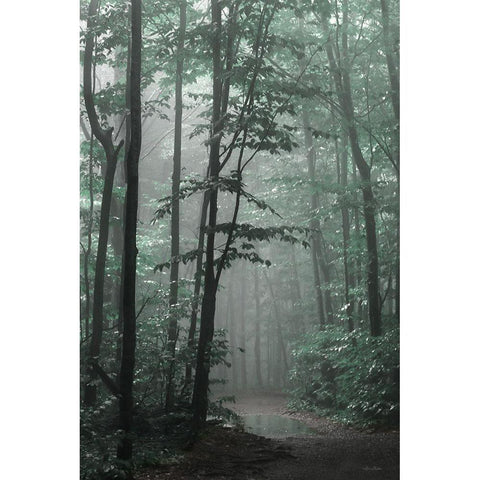 Misty Forest White Modern Wood Framed Art Print by Deiter, Lori