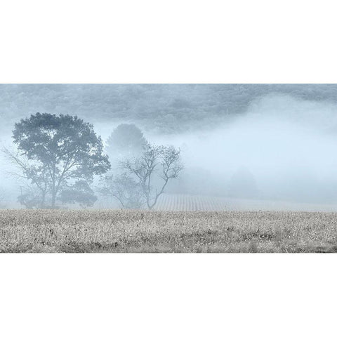 Blue Misty Morning Black Modern Wood Framed Art Print with Double Matting by Deiter, Lori