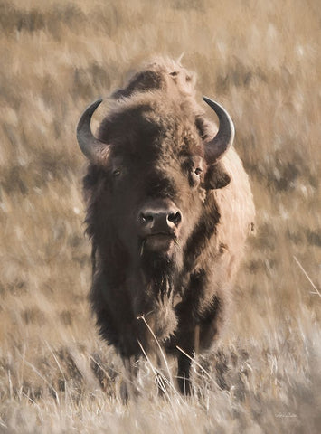 Yellowstone Bison Black Ornate Wood Framed Art Print with Double Matting by Deiter, Lori