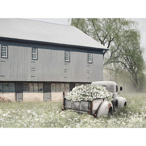 Barn Daze White Modern Wood Framed Art Print by Deiter, Lori