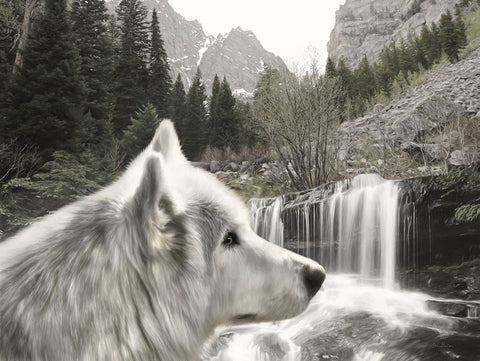 Wolf Waterfall Visit Black Modern Wood Framed Art Print by Deiter, Lori