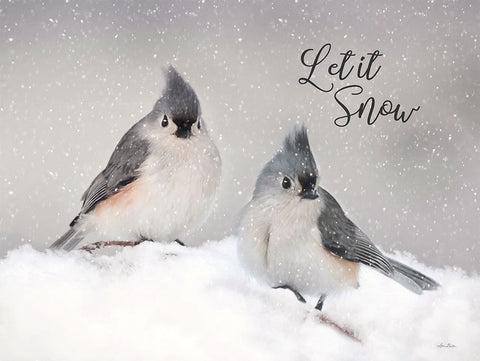 Let It Snow Titmouse Pair Black Modern Wood Framed Art Print by Deiter, Lori