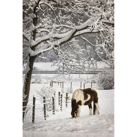 Paint in the Snow White Modern Wood Framed Art Print by Deiter, Lori