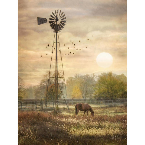 Berks Co. Sunrise Black Modern Wood Framed Art Print with Double Matting by Deiter, Lori