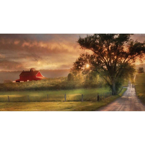 Country Lane Sunset White Modern Wood Framed Art Print by Deiter, Lori