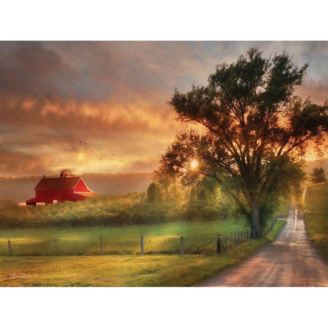 Country Lane Sunset    White Modern Wood Framed Art Print by Deiter, Lori