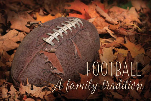 Football - A Family Tradition White Modern Wood Framed Art Print with Double Matting by Deiter, Lori