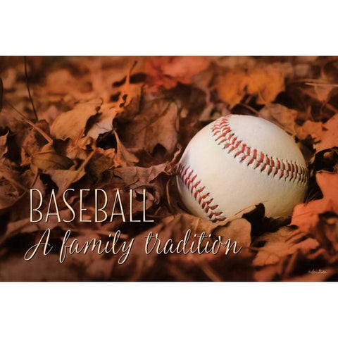 Baseball - A Family Tradition Black Modern Wood Framed Art Print with Double Matting by Deiter, Lori