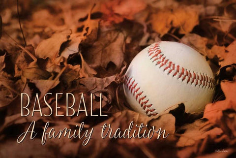 Baseball - A Family Tradition White Modern Wood Framed Art Print with Double Matting by Deiter, Lori