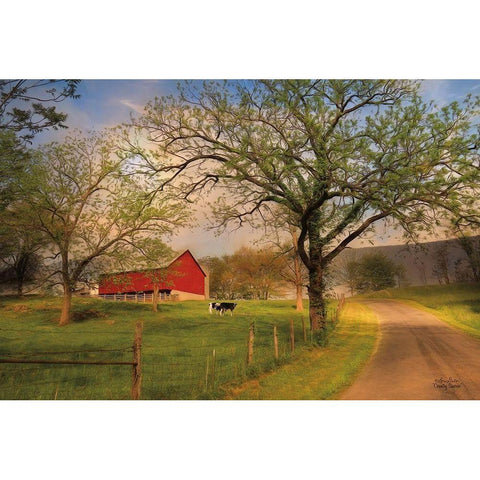 Country Sunrise   Black Modern Wood Framed Art Print with Double Matting by Deiter, Lori