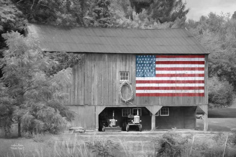 Patriotic Farm I Black Ornate Wood Framed Art Print with Double Matting by Deiter, Lori