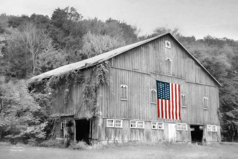 Patriotic Farm II White Modern Wood Framed Art Print with Double Matting by Deiter, Lori