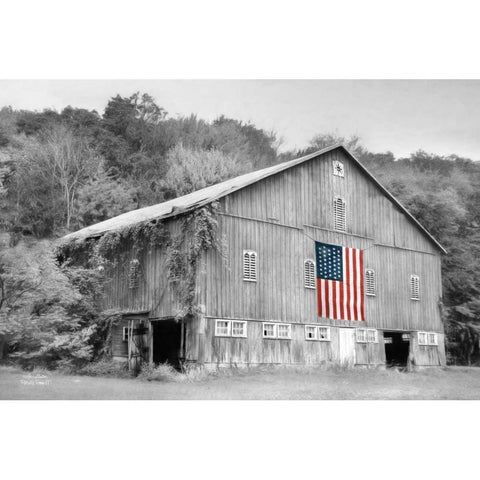 Patriotic Farm II White Modern Wood Framed Art Print by Deiter, Lori