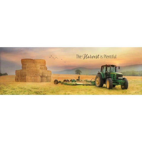 The Harvest is Plentiful Black Modern Wood Framed Art Print with Double Matting by Deiter, Lori