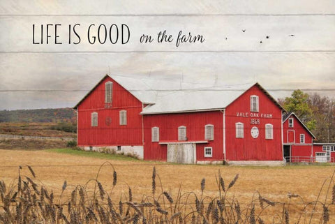 Life is Good on the Farm White Modern Wood Framed Art Print with Double Matting by Deiter, Lori