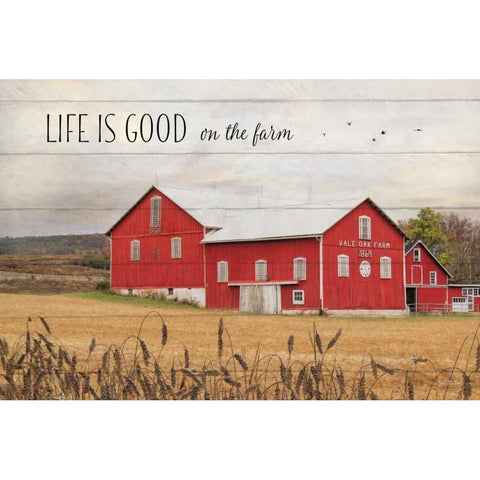 Life is Good on the Farm White Modern Wood Framed Art Print by Deiter, Lori