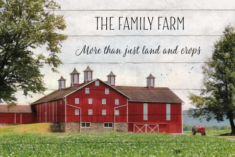 The Family Farm White Modern Wood Framed Art Print with Double Matting by Deiter, Lori