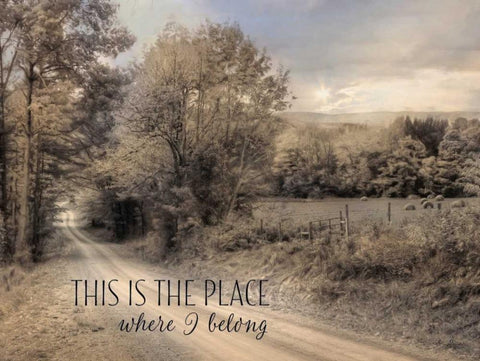 This is the Place Where I Belong White Modern Wood Framed Art Print with Double Matting by Deiter, Lori