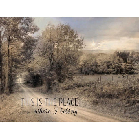 This is the Place Where I Belong White Modern Wood Framed Art Print by Deiter, Lori