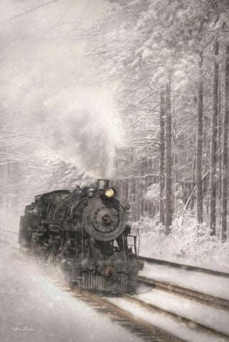 Snowy Locomotive Black Ornate Wood Framed Art Print with Double Matting by Deiter, Lori