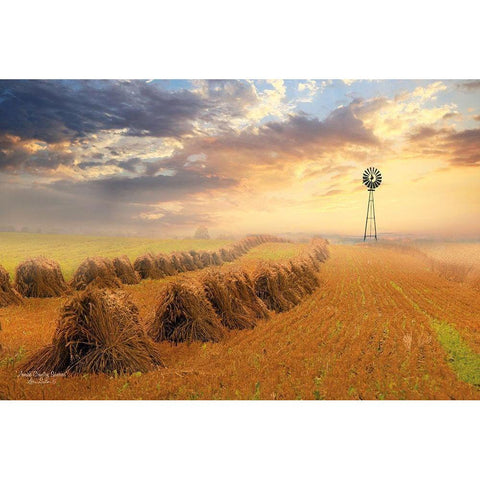 Amish Country Sunrise White Modern Wood Framed Art Print by Deiter, Lori