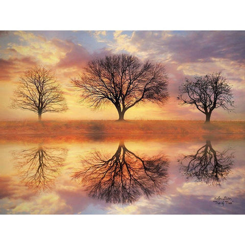 Trio of Trees White Modern Wood Framed Art Print by Deiter, Lori