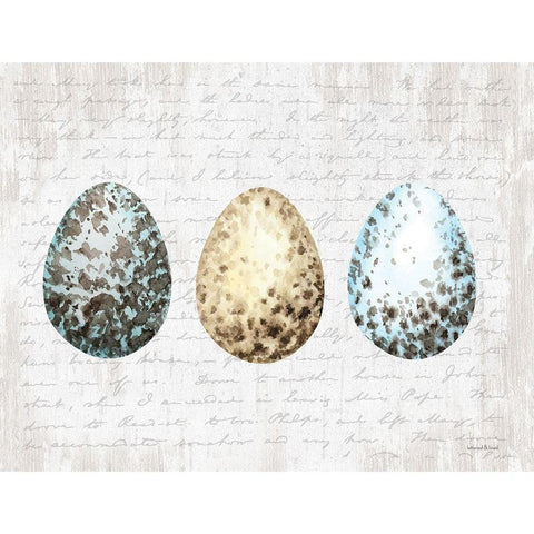 Speckled Eggs Black Modern Wood Framed Art Print with Double Matting by Lettered and Lined