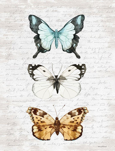 Butterfly Trio White Modern Wood Framed Art Print with Double Matting by Lettered and Lined