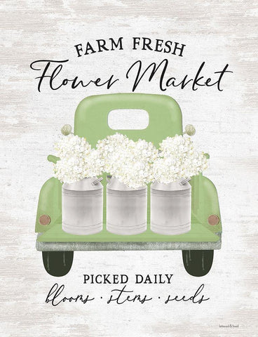 Flower Market - Hydrangeas White Modern Wood Framed Art Print with Double Matting by Lettered and Lined