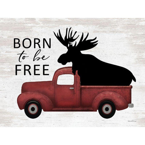 Born to be Free Moose Black Modern Wood Framed Art Print with Double Matting by lettered And lined