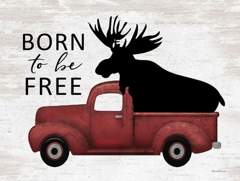 Born to be Free Moose White Modern Wood Framed Art Print with Double Matting by lettered And lined