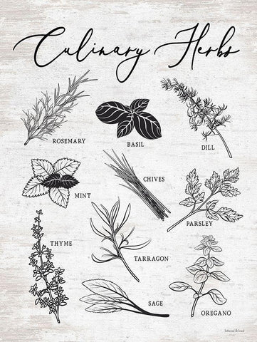 Culinary Herbs White Modern Wood Framed Art Print with Double Matting by lettered And lined