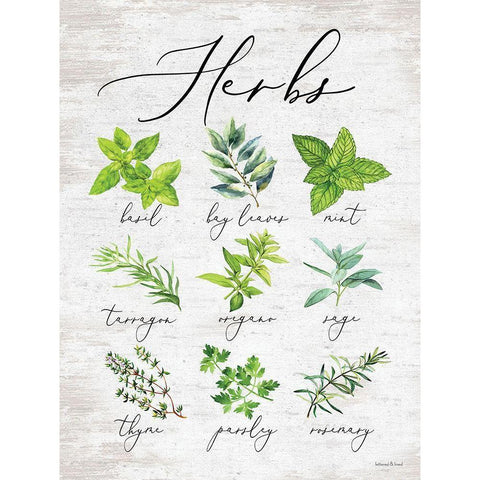 Herbs Black Modern Wood Framed Art Print with Double Matting by lettered And lined