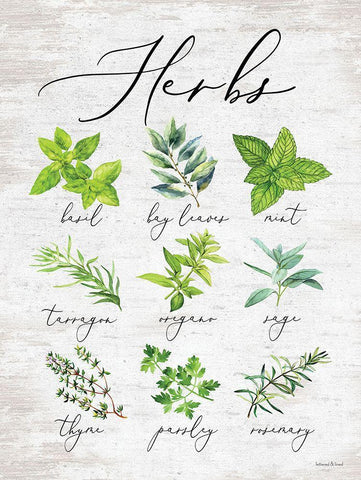 Herbs White Modern Wood Framed Art Print with Double Matting by lettered And lined