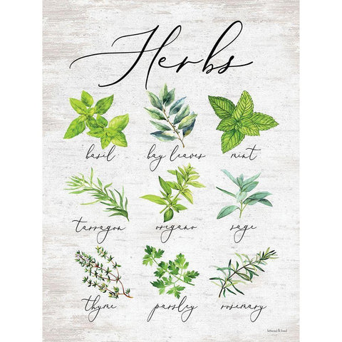 Herbs White Modern Wood Framed Art Print by lettered And lined