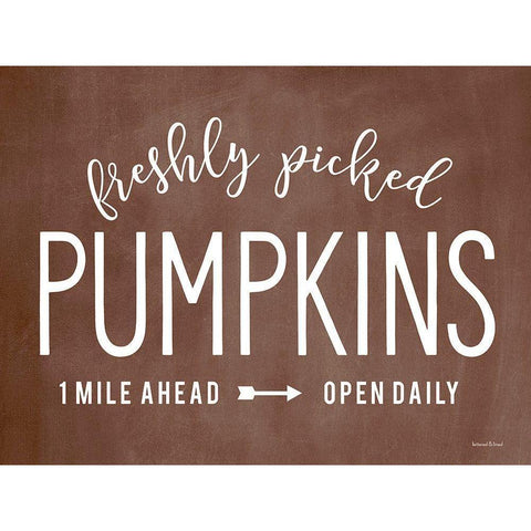 Freshly Picked Pumpkins Black Modern Wood Framed Art Print with Double Matting by Lettered And Lined