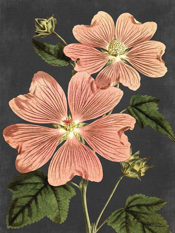 Pink Anemone White Modern Wood Framed Art Print with Double Matting by Lettered And Lined