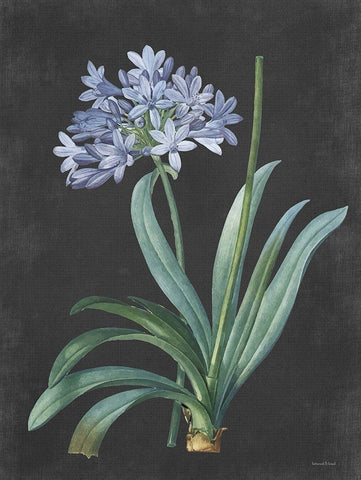 Bulb Study White Modern Wood Framed Art Print with Double Matting by Lettered And Lined